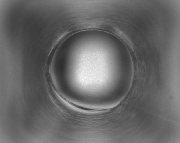X0000055510107200508121027