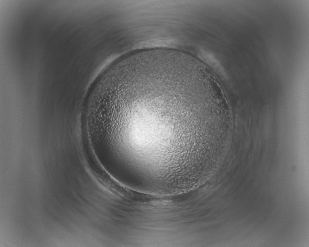 X0000055510108200508121027
