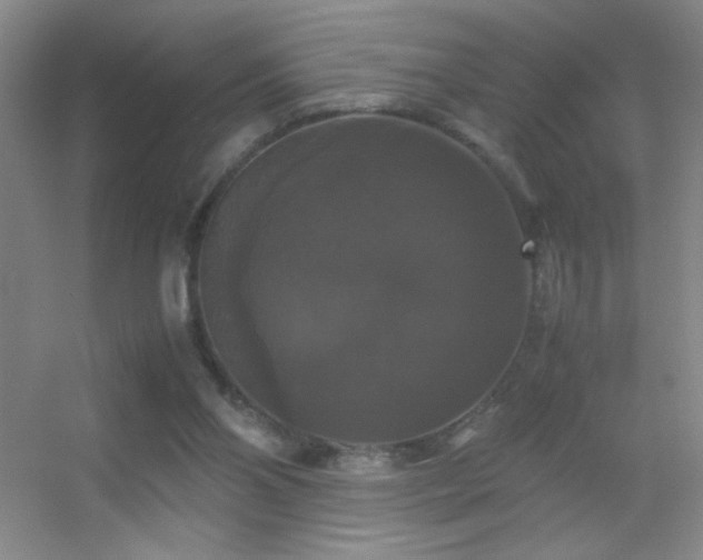 X0000055510110200508121027