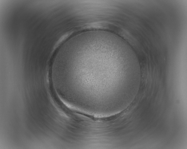 X0000055510112200508121027