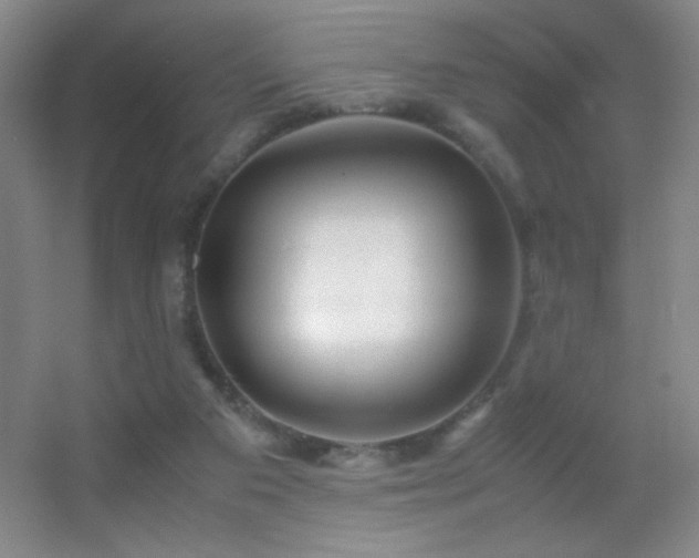 X0000055510113200508121027