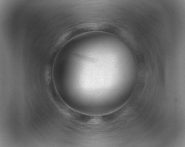 X0000055510119200508121027