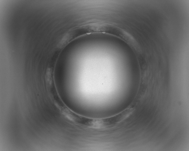 X0000055510121200508121027