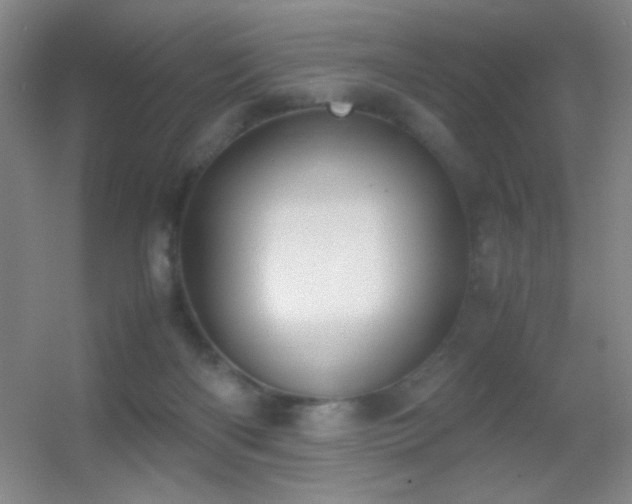 X0000055510122200508121027