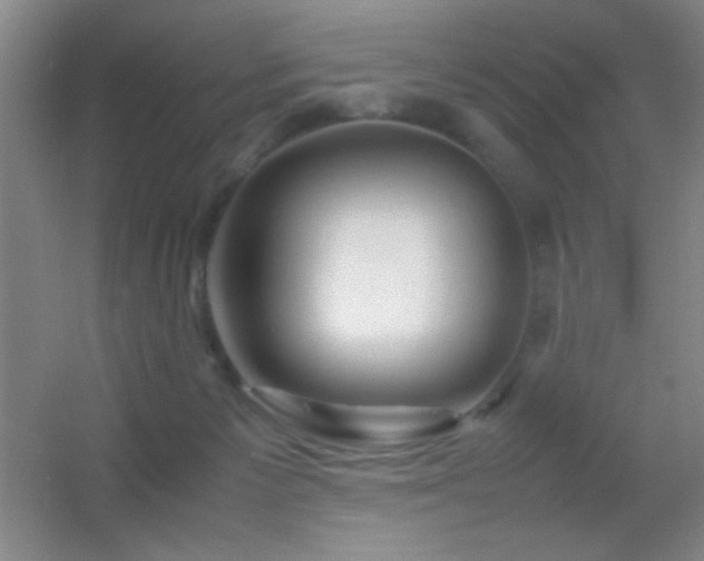 X0000055510125200508121027