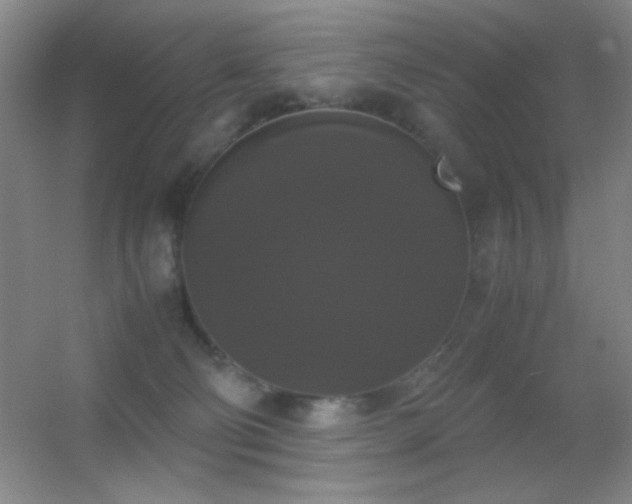 X0000055510130200508121027