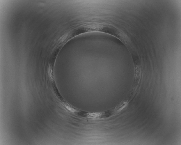 X0000055510143200508121027