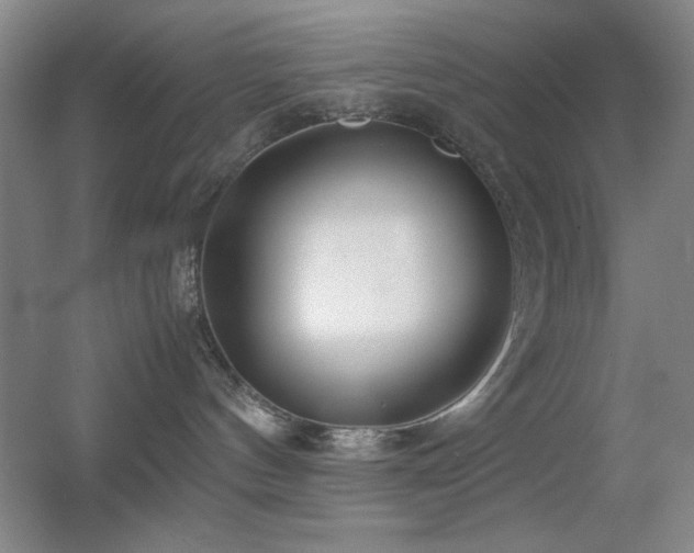 X0000055510144200508121027