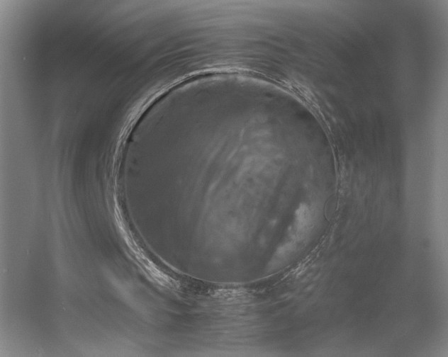 X0000055510145200508121026