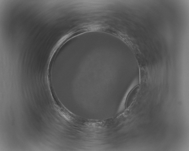 X0000055510147200508121026
