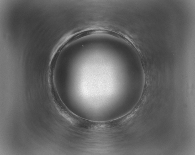 X0000055510152200508121026