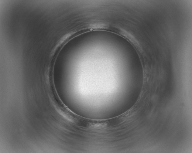X0000055510155200508121026