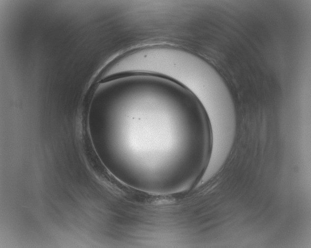 X0000055510156200508121026
