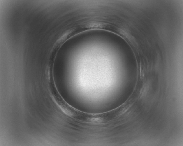 X0000055510157200508121026