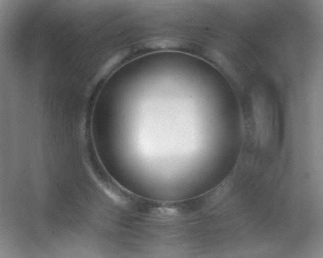 X0000055510159200508121026