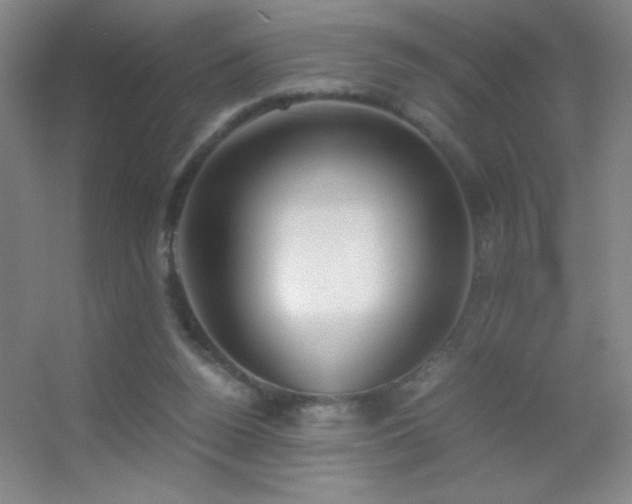 X0000055510160200508121026