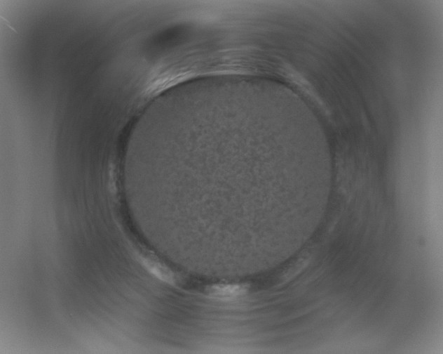 X0000055510161200508121026