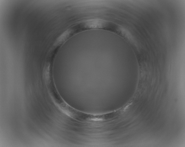X0000055510163200508121026