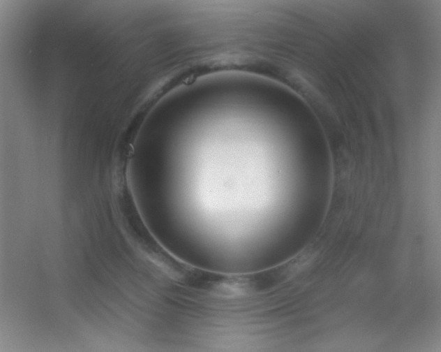 X0000055510164200508121026