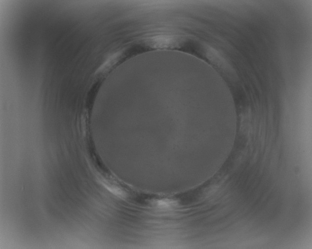 X0000055510165200508121026