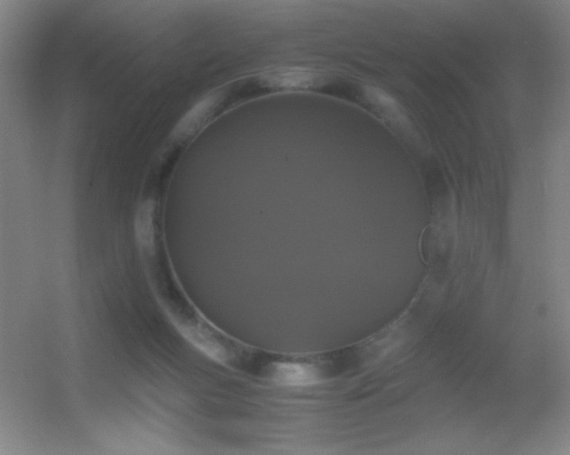 X0000055510167200508121026