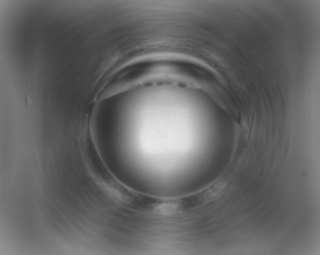 X0000055510168200508121026