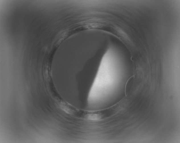 X0000055510169200508121026
