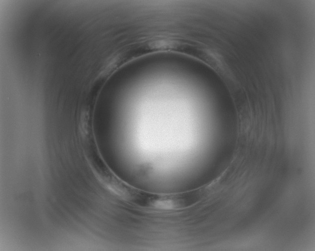X0000055510171200508121026