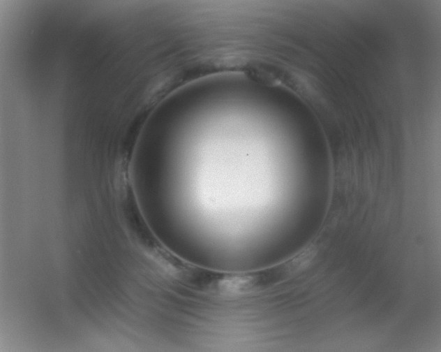 X0000055510172200508121026