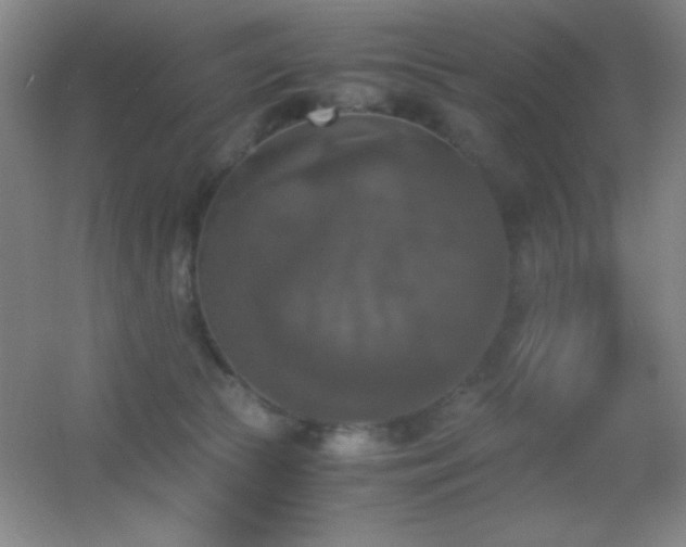 X0000055510177200508121026