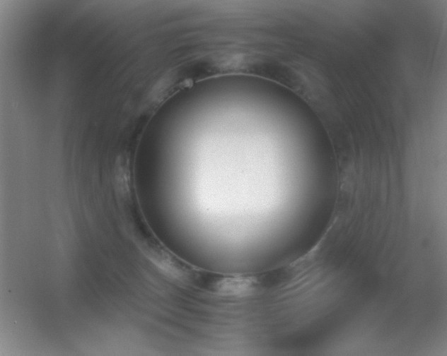 X0000055510179200508121026