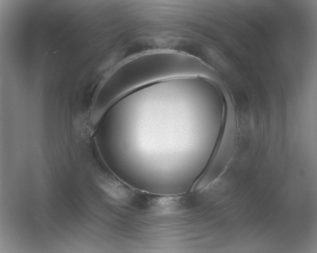 X0000055510184200508121027