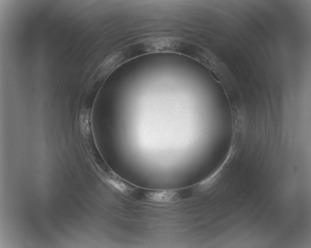 X0000055510191200508121027
