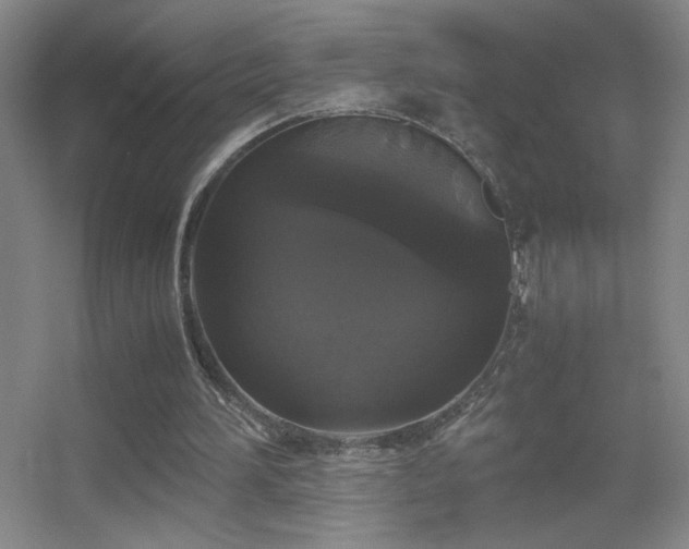 X0000055510196200508121026