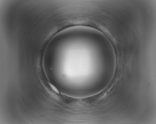 X0000055510201200508121026