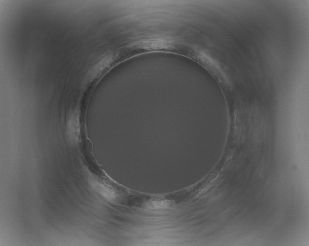 X0000055510202200508121026