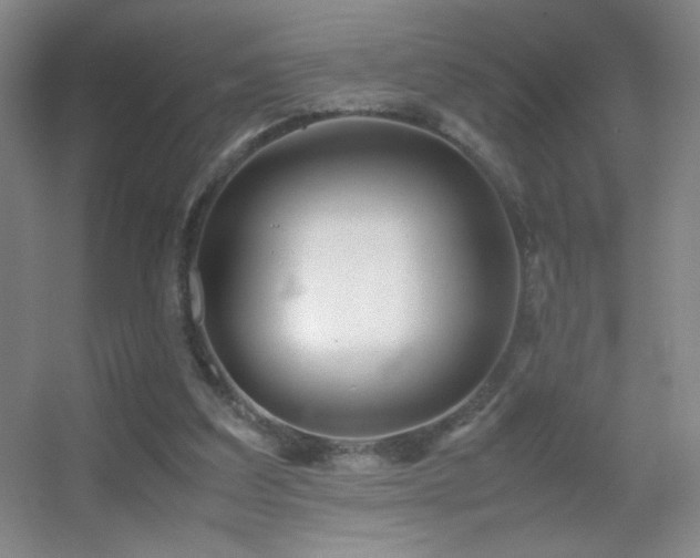 X0000055510203200508121026