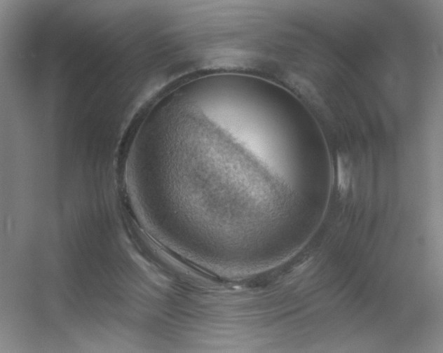 X0000055510204200508121026
