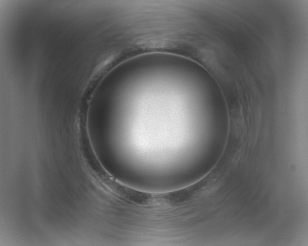 X0000055510207200508121026