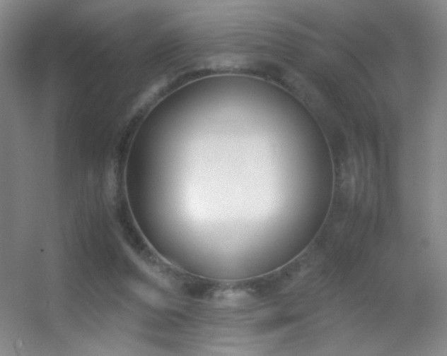 X0000055510208200508121026