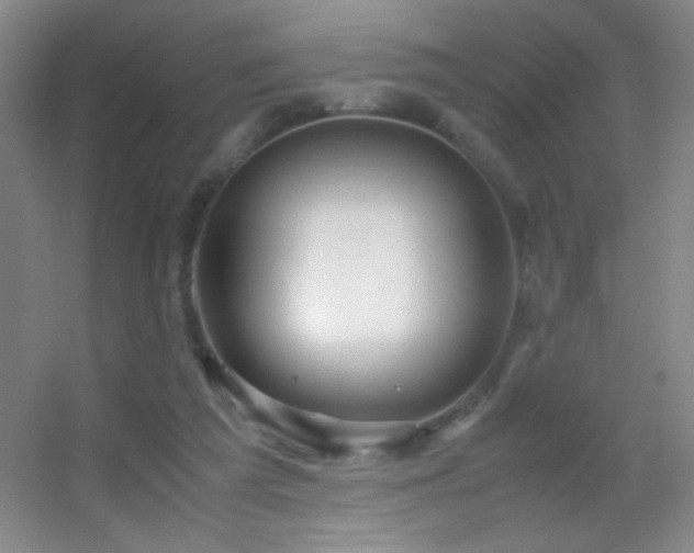 X0000055510209200508121026