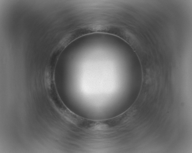 X0000055510210200508121026