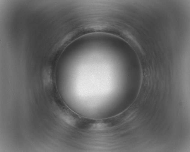 X0000055510212200508121026