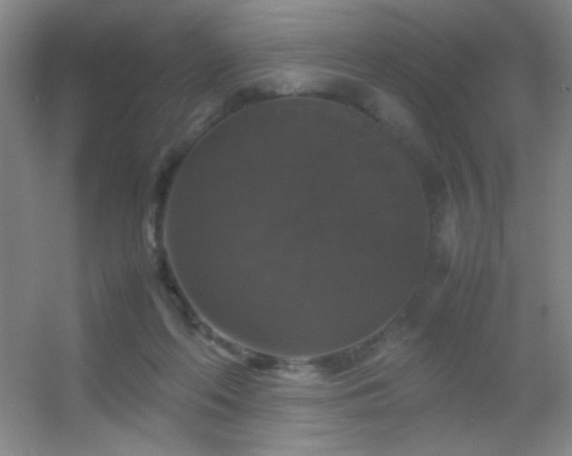 X0000055510214200508121026