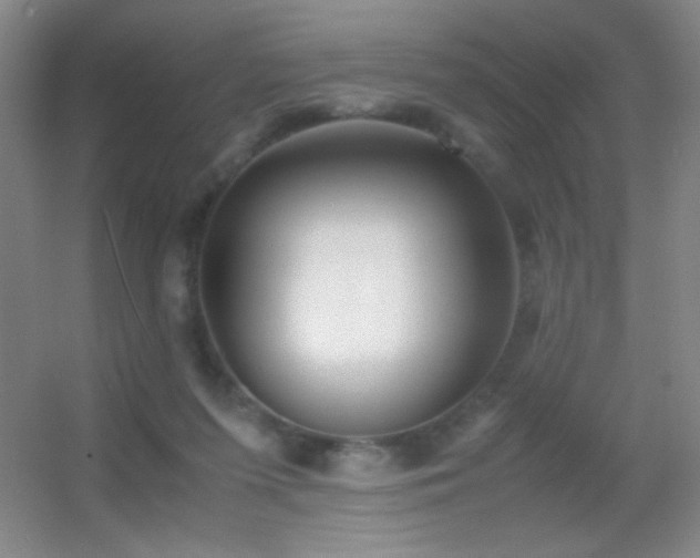 X0000055510215200508121026
