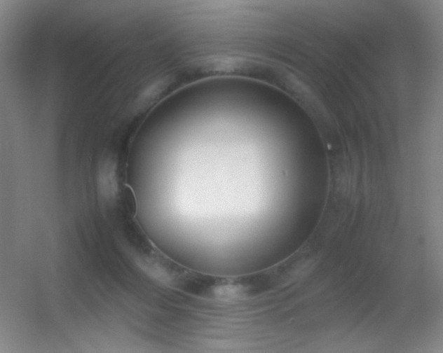 X0000055510216200508121025