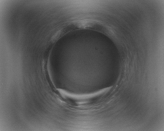 X0000055510219200508121025