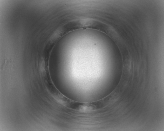 X0000055510220200508121025
