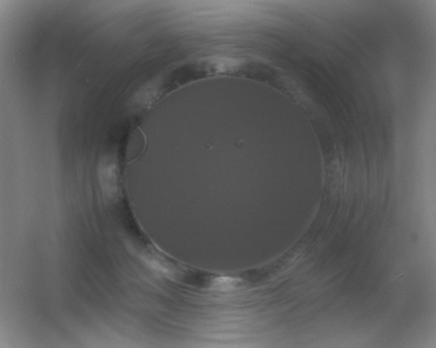 X0000055510222200508121025