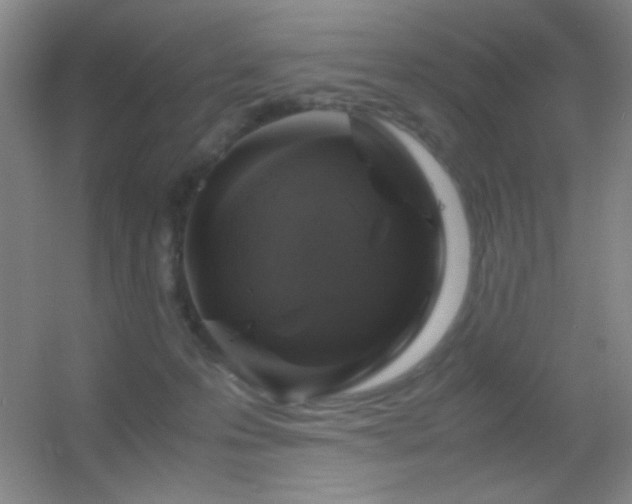 X0000055510223200508121025